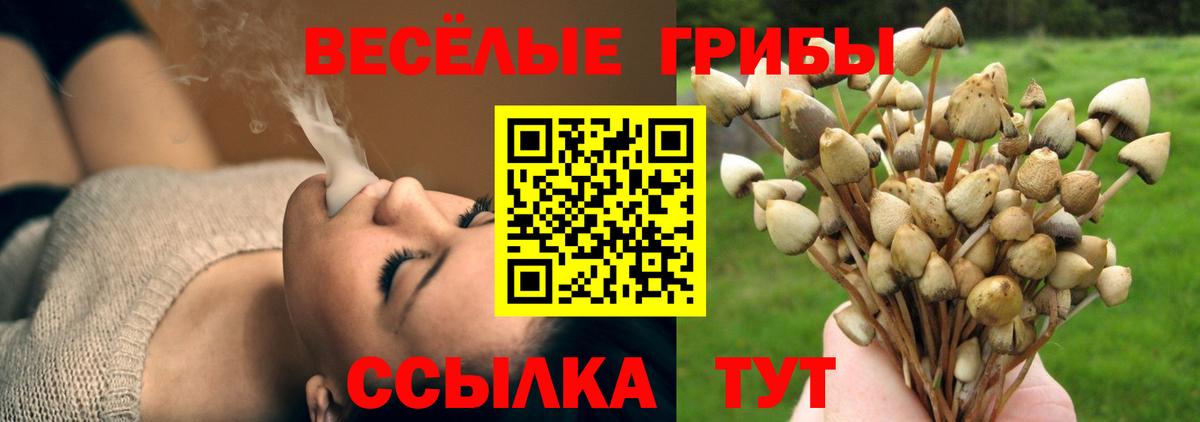 Кумертау  Галлюциногенные грибы GOLDEN TEACHER  Вход с VPN  Псилоцибиновые грибы Cubensis 